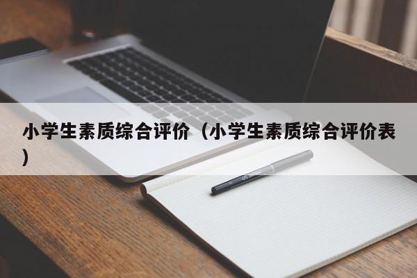 小学生素质综合评价(小学生素质综合评价表)